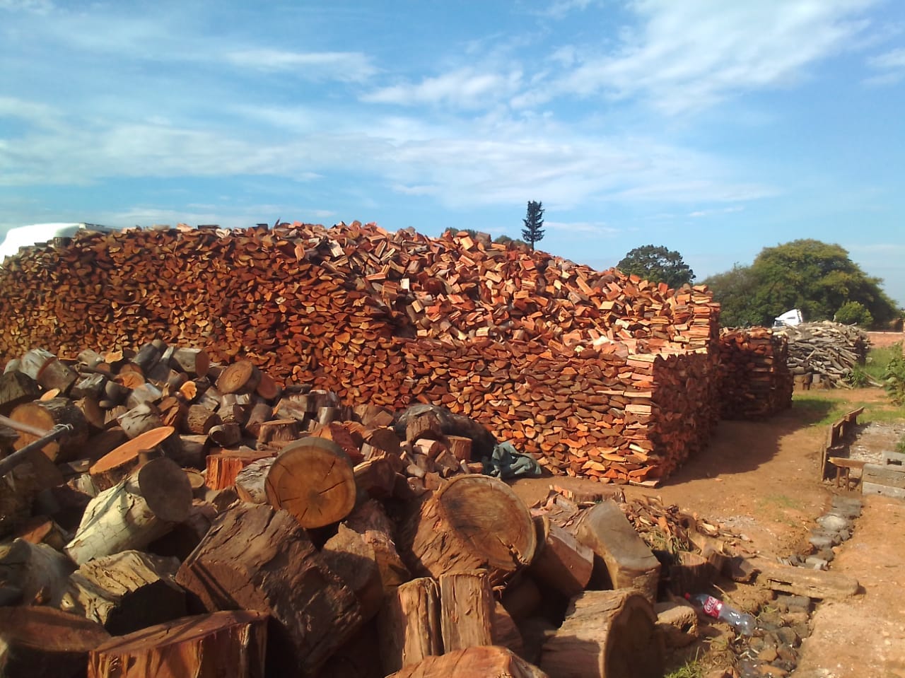 Just Firewood4